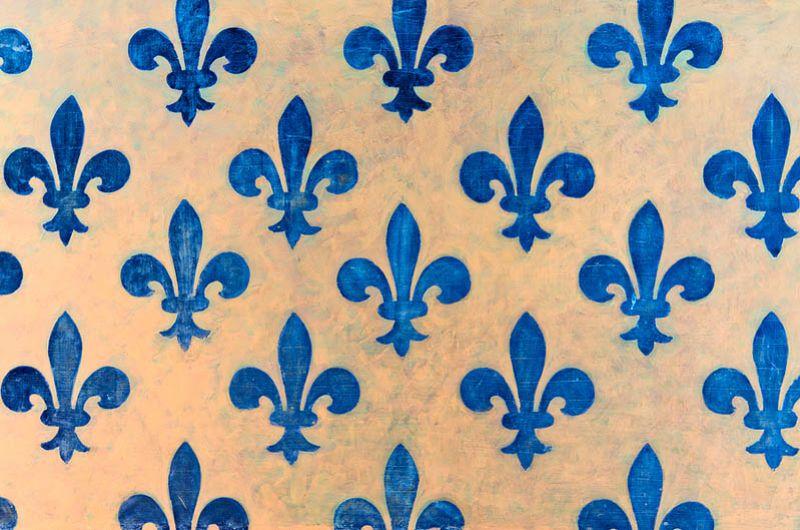 Fleur de lys historique presente a notre-dame de paris symbole royal francais